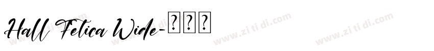 Hall Fetica Wide字体转换